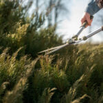 equipamentos de jardinagem